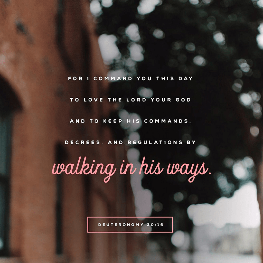 Deuteronomy 30:16 - For I Command You This Day To Love The Lord Your God And To Keep His Commands Decrees