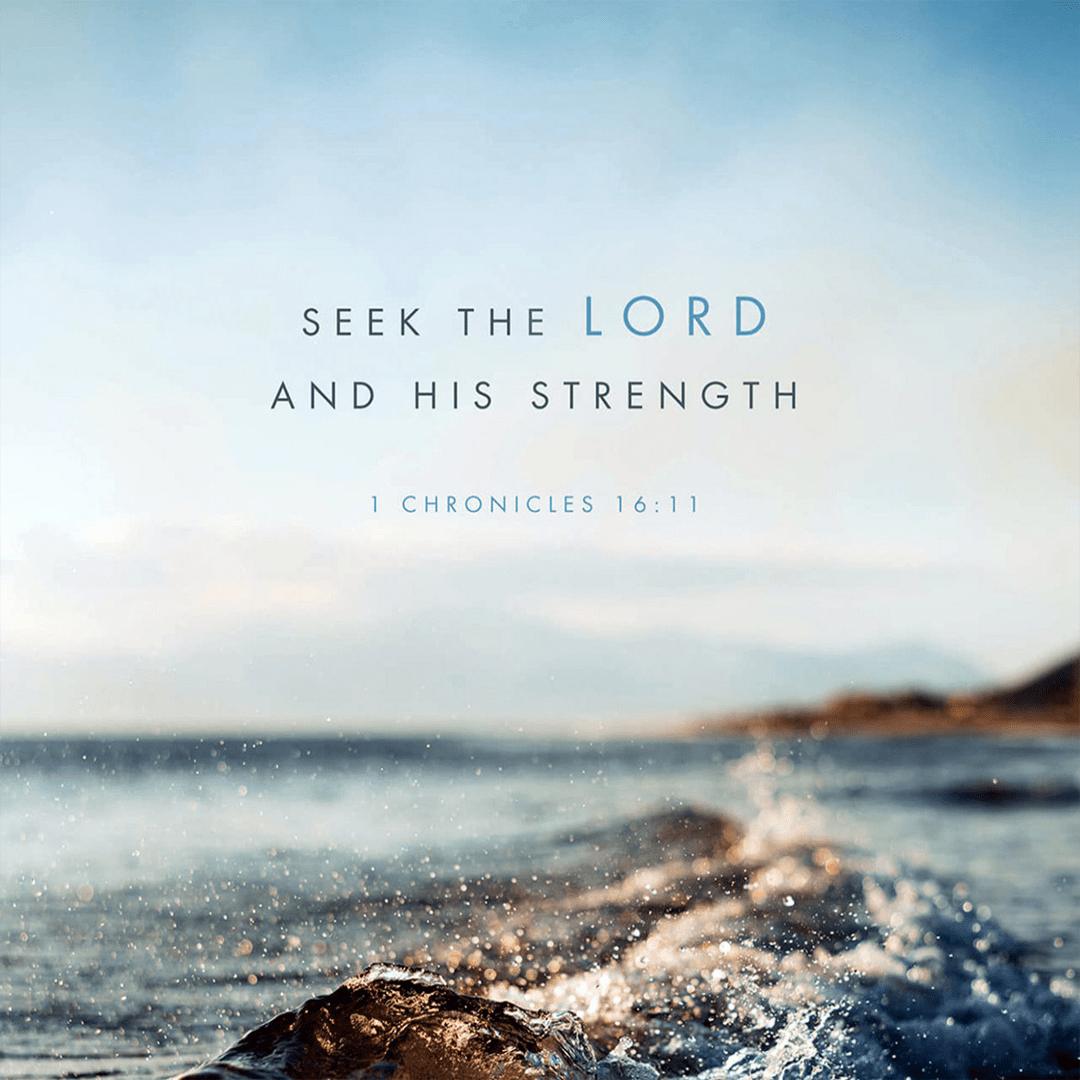 1 Chronicles 16:14 - Seek The Lord And His Strength.png