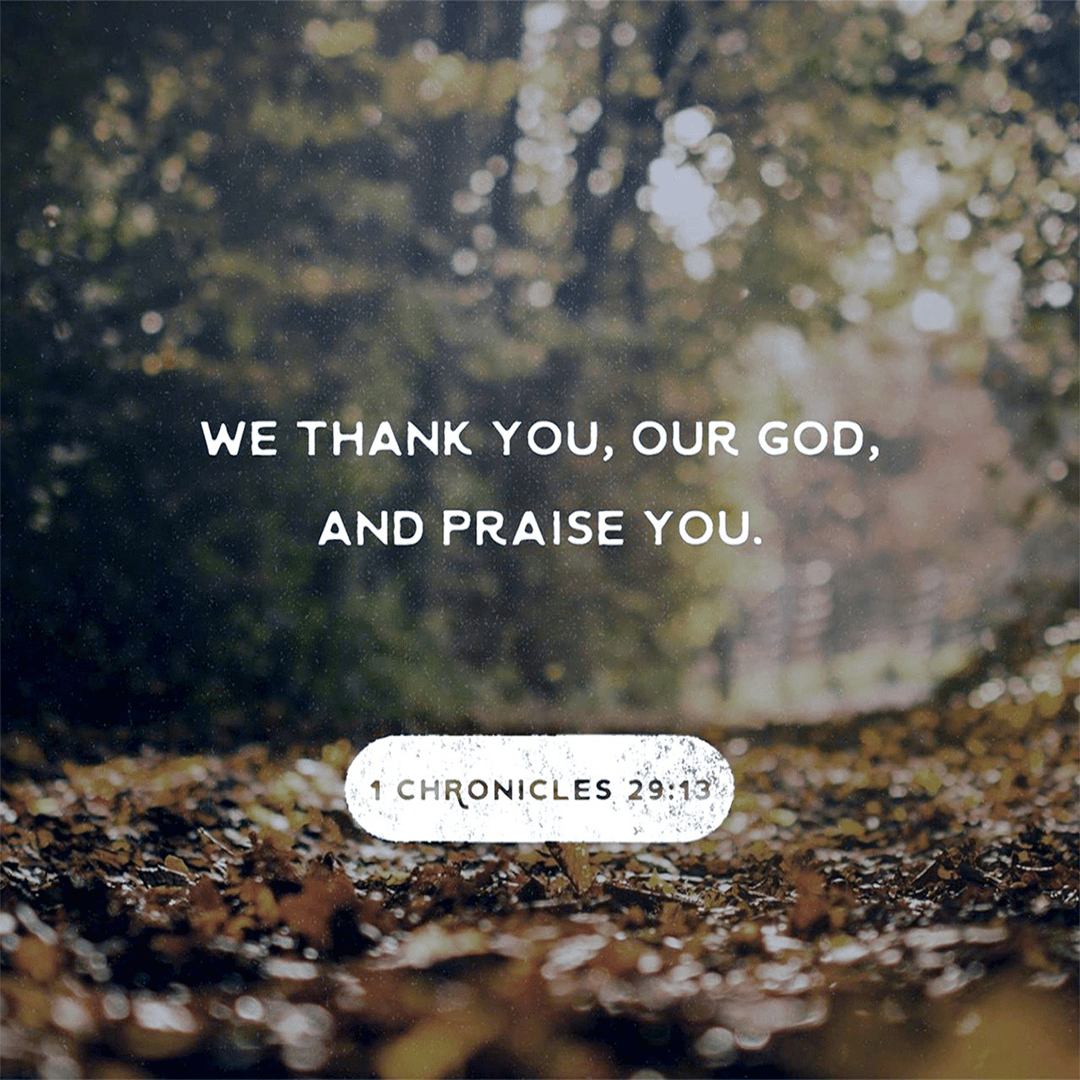 1 Chronicles 29:13 - We Thank You, Our God, And Praise You.png